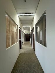 Zervex (D14), Factory #560023941